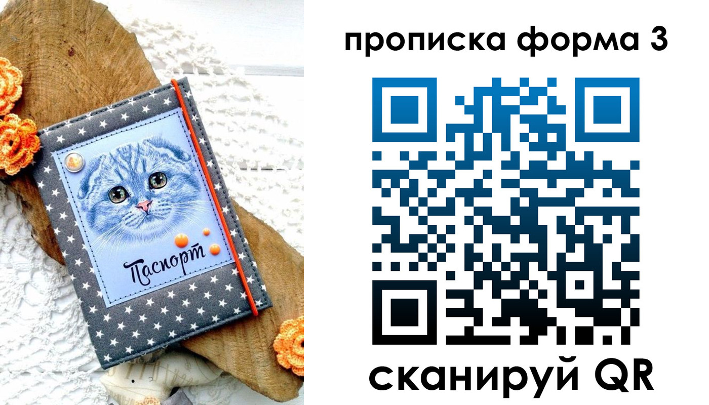 прописка поиск в Бабаево